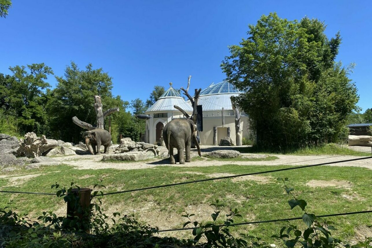 Zoo